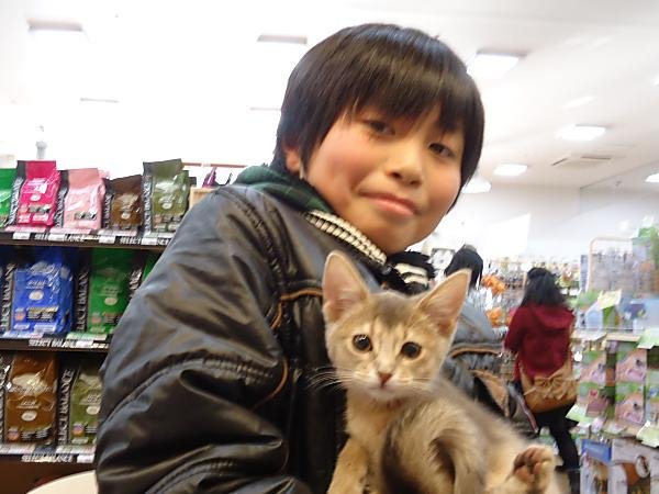 写真