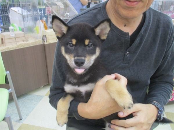 写真