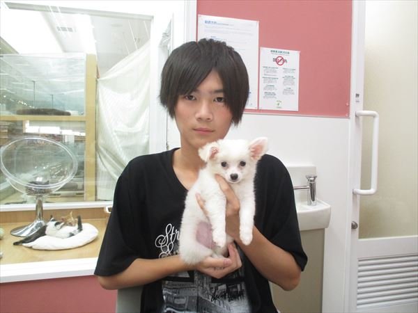 写真