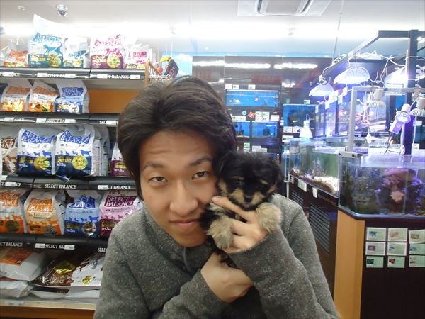 写真