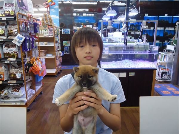 写真