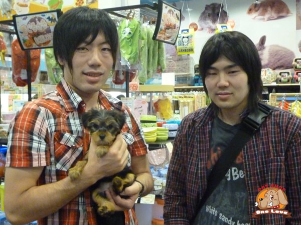 写真