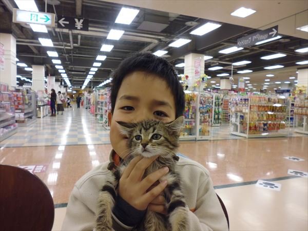 写真