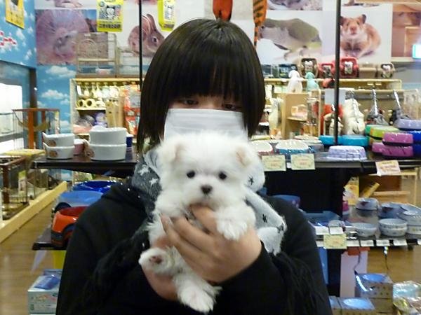 写真