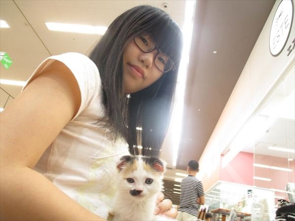 写真
