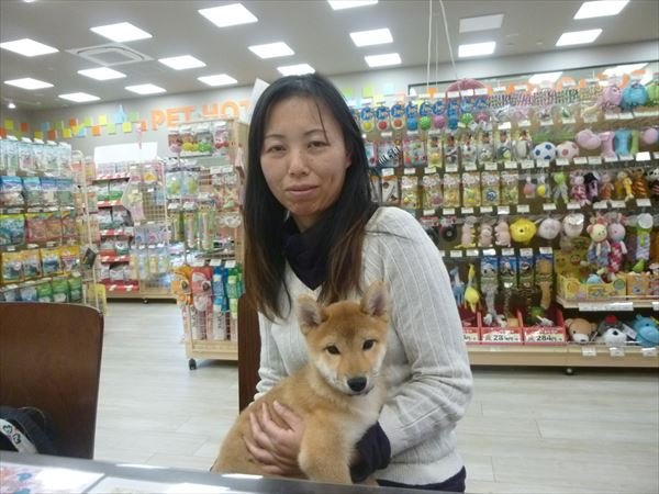 写真