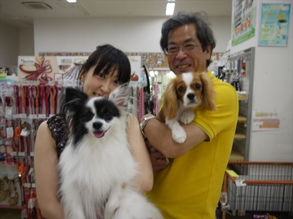 写真