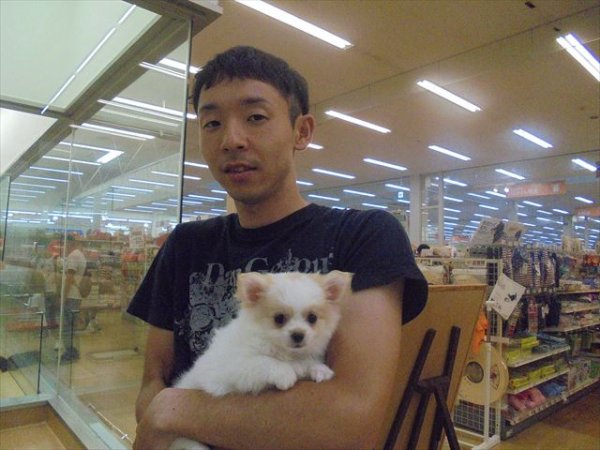 写真