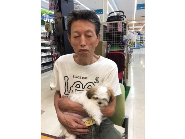 写真
