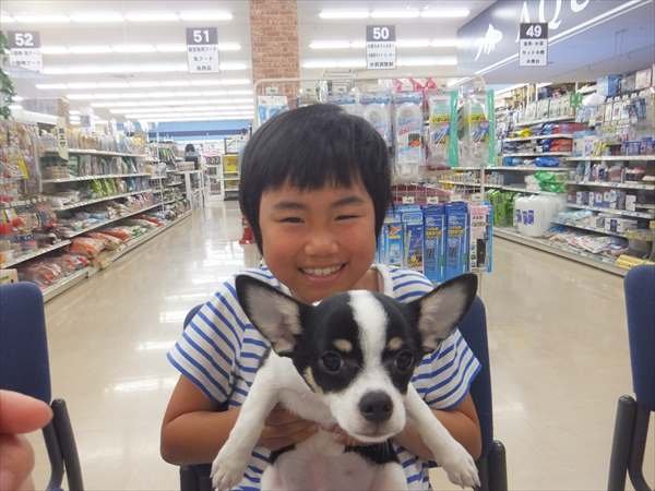 写真