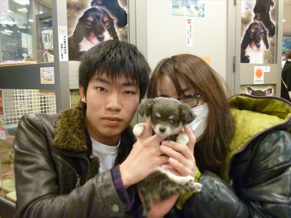 写真