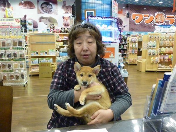 写真