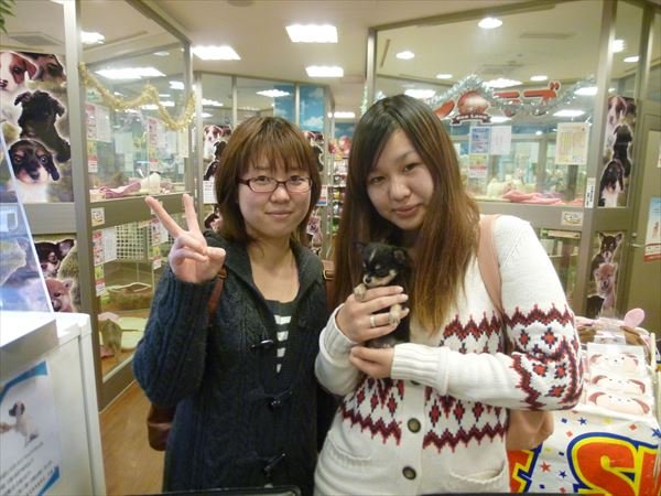 写真