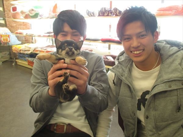 写真