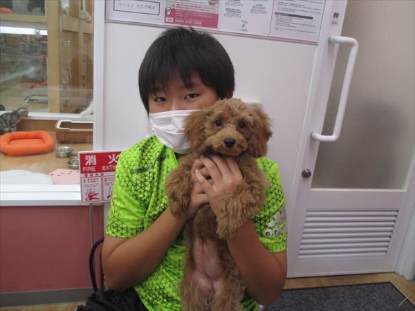 写真