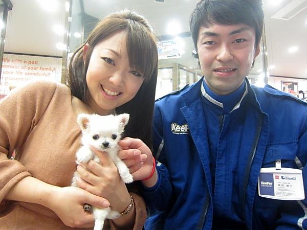 写真