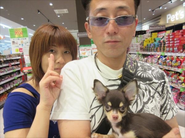 写真