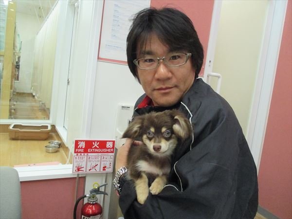 写真