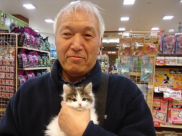 写真