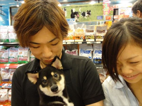 写真