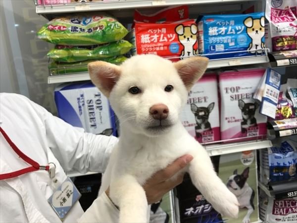 写真
