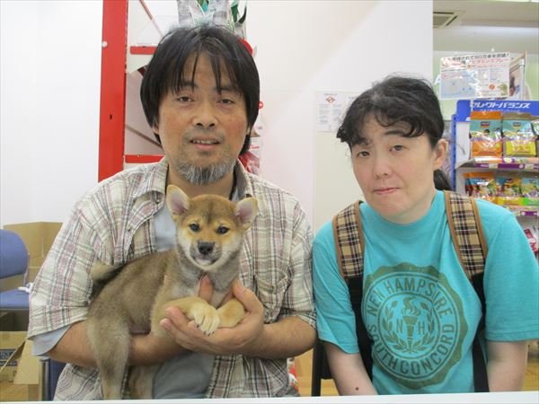 写真