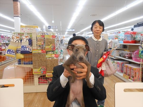 写真