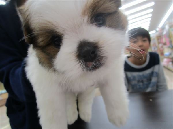 写真