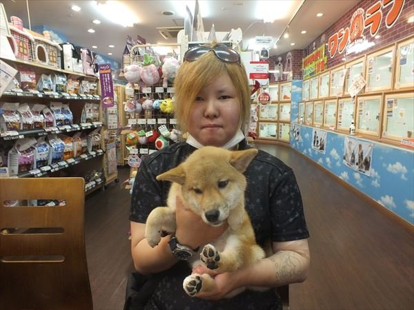 写真