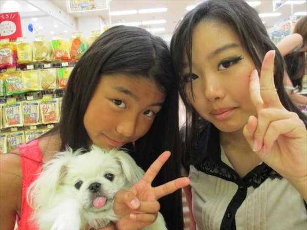 写真