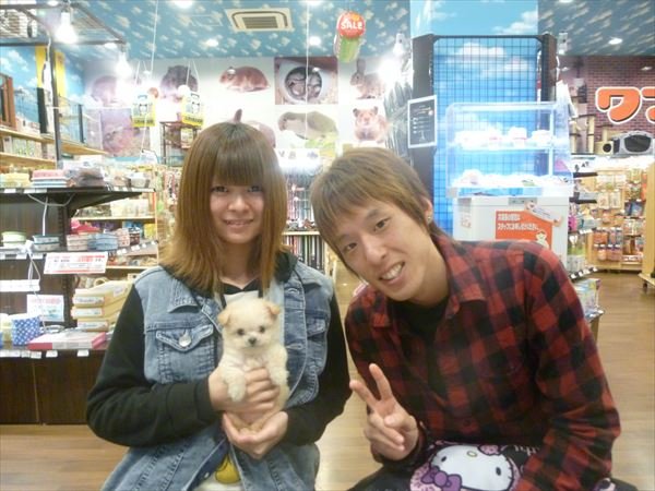 写真
