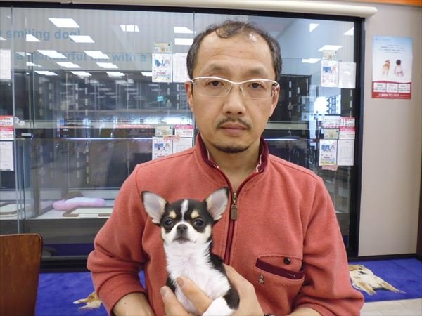 写真