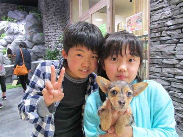 写真