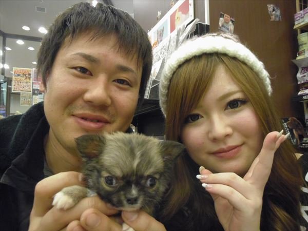 写真