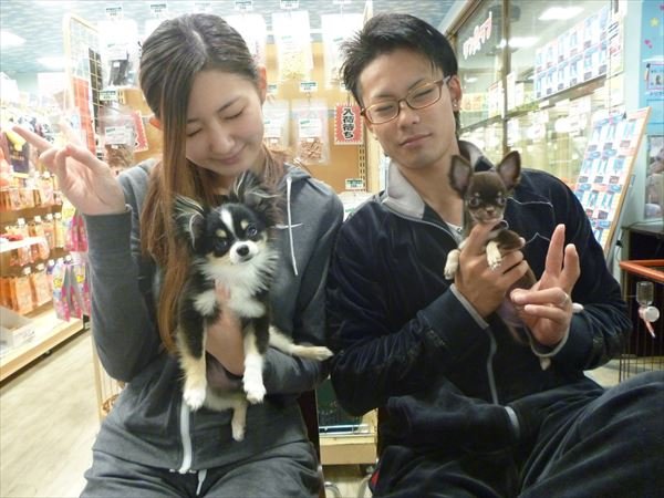 写真