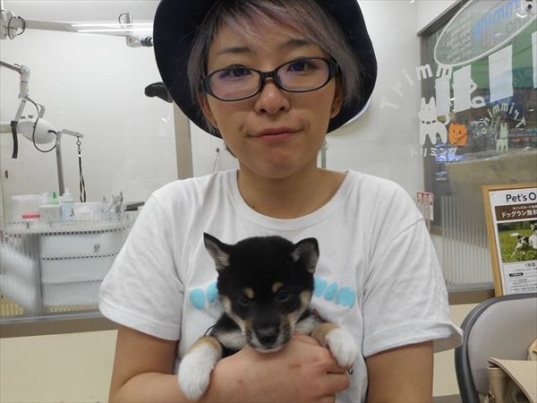 写真