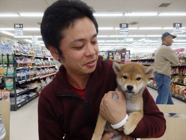 写真