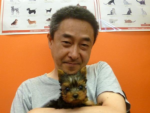 写真