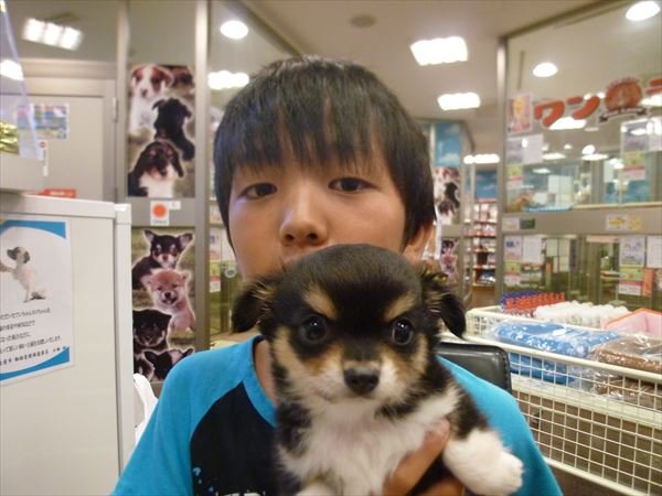 写真