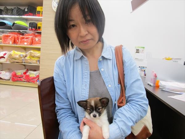 写真