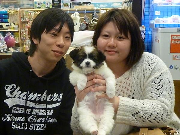 写真