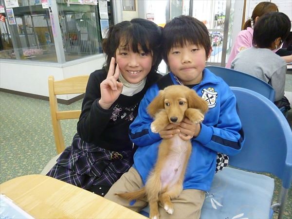 写真