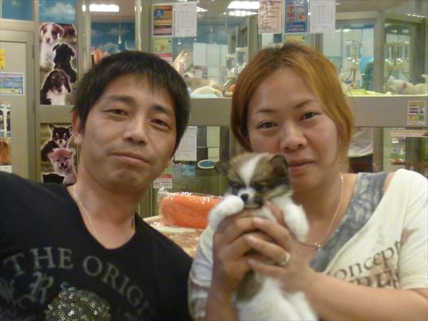 写真