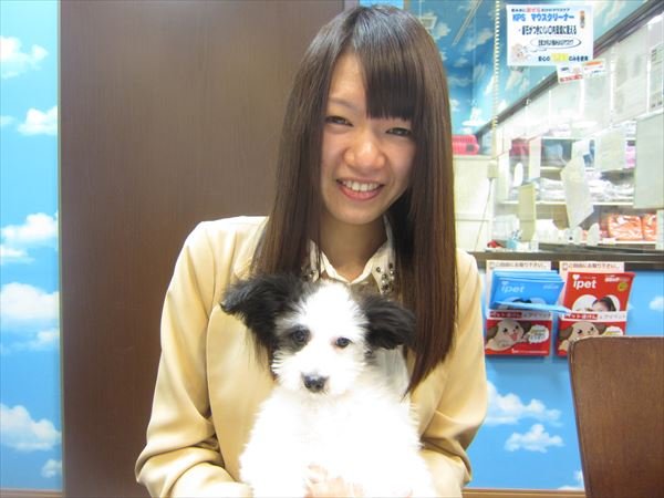 写真