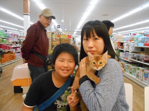 写真