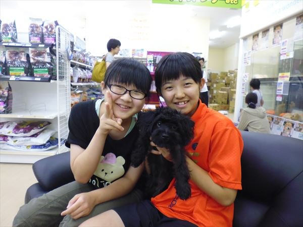 写真