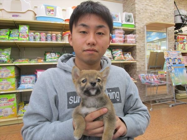 写真