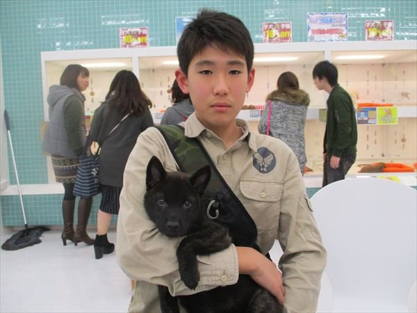 写真