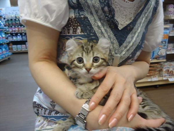 写真