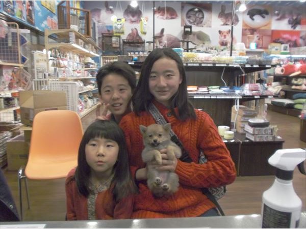 写真